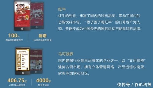 谷形科技 專業Java定制開發與營銷推廣服務，助力企業數字化升級