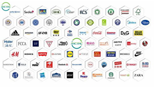 GSS驗廠無憂，智慧行定制化咨詢 高效拿證，贏取市場先機(jī)